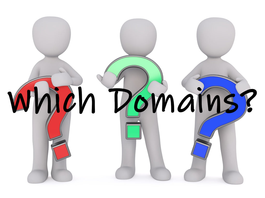Which Domains Should I Choose? Pt. I